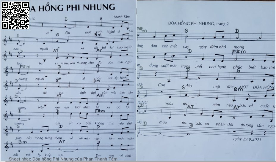 Sheet nhạc Đóa hồng Phi Nhung - Phan Thanh Tâm