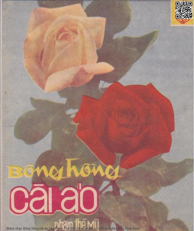Sheet nhạc Bông hồng cài áo - Phạm Thế Mỹ